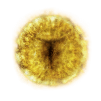 Marika's Rune
